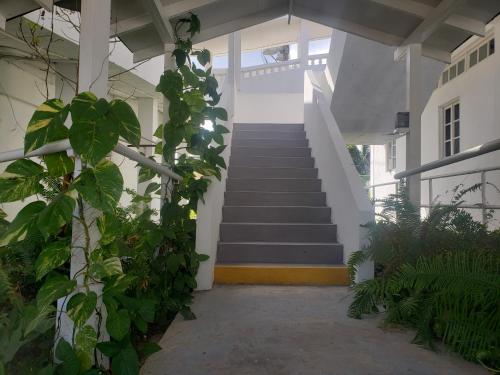 Sea Shell Palms, Ocho Rios in Очо Риос