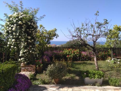  Apartment Lavanda in Marina di Camerota, Pension in Marina di Camerota