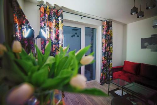 Blue Sky - Apartamenty Premium Zator, Zator (fotografie 10)