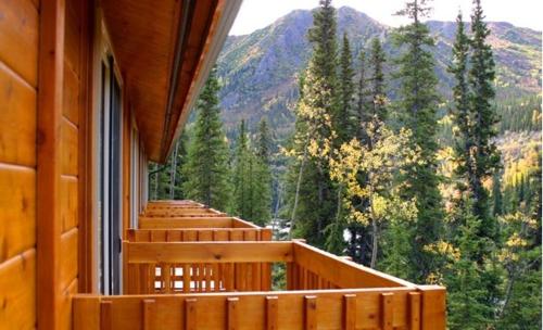 Denali Grizzly Bear Resort - 발코니/테라스