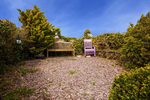 Sunville Bed And Breakfast - image 2