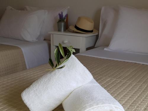 Corfu Olivia Apartments - image 10