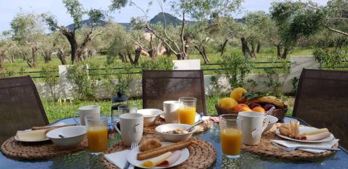 Corfu Olivia Apartments - image 8