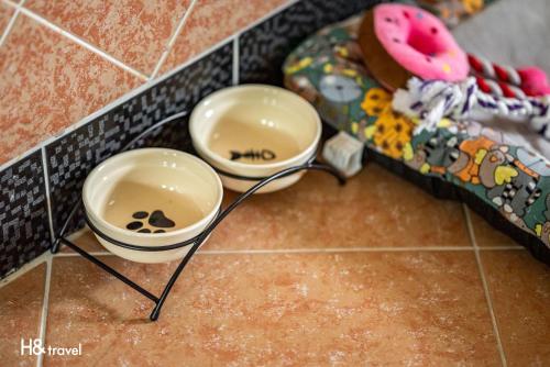 シャンティ B&B (山緹庭園民宿)