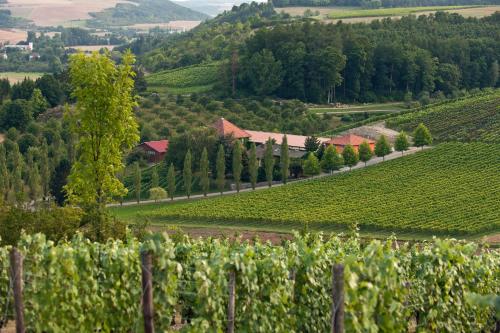 A környék, BENZ Weingut & Weinhotel in Lauda-Königshofen