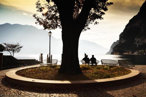 Riva City View - image 8