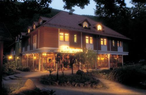 Kurpark Flair Hotel Im Ilsetal