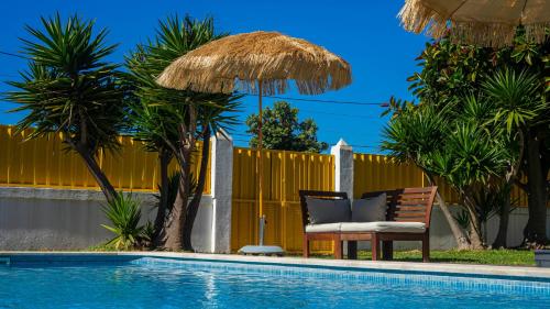  Mr Ziggy's Surfhouse in Costa da Caparica