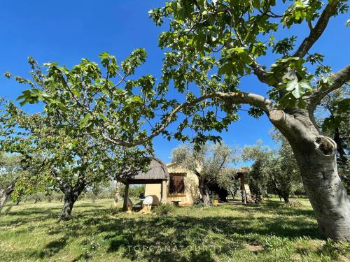 Cottage I Ciliegi with aircon, fenced garden by ToscanaTour