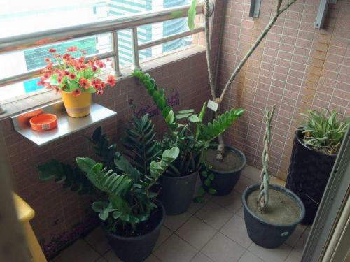 Each Family Service Apartment in Cianjhen Kerület