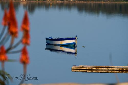 La Vie En Rose – Marsala, CA