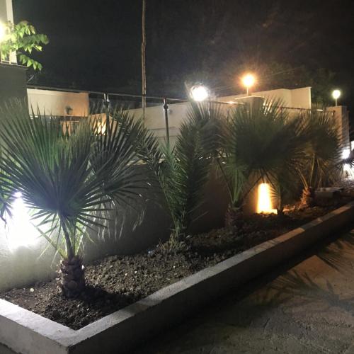 Hotel Vienna - image 3