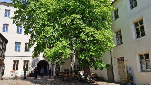 Hotel Cranach-Herberge City Centre