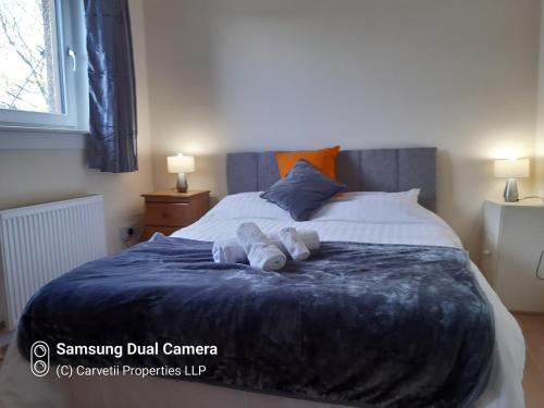 Carvetii - Stuart House - 1st floor flat sleeps up to 8 in Grangemouth