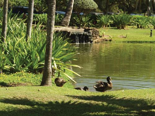 Kauai Beach Villas