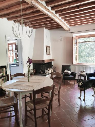 Pietra d'Acqua B&B in the woods