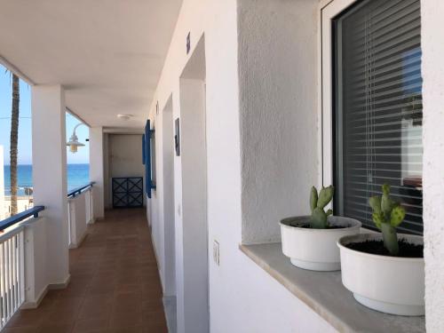  Apartamento Algazul in Las Negras