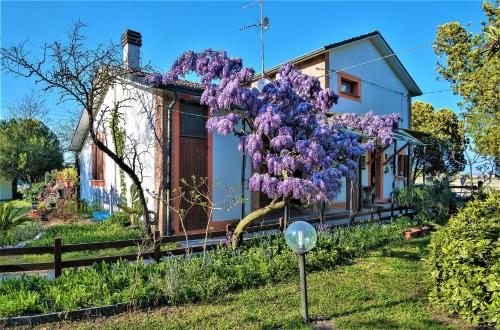  B&B La mia Oasi in Comacchio