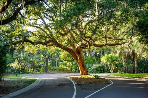 1313 Pelican Watch - Seabrook Island - Beachfront 5 Star Condo - Fido Friendly