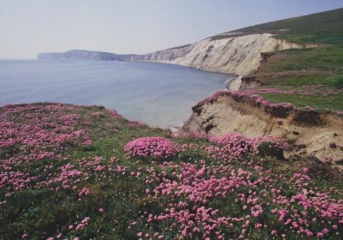 St Margarets Modern Georgian 2 bedroom apartment in Isle of Wight