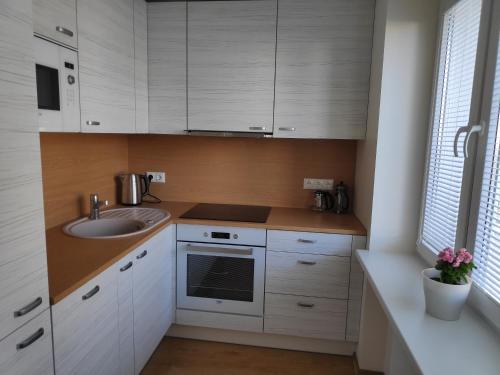 Jakobi Guest Apartment, Tallinn (photo 4)