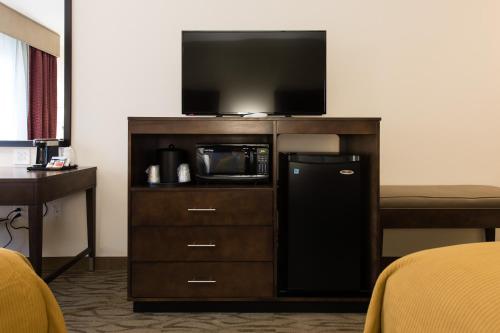 Holiday Inn Express & Suites Aiken an IHG Hotel - image 7