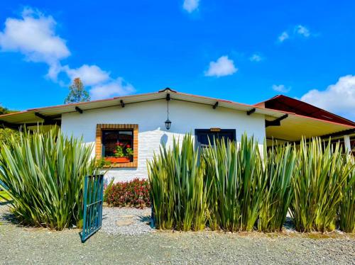 Cabanas La Herradura