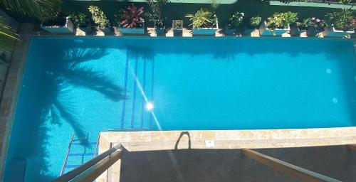 Swimming pool, Casa Papito in Potrero