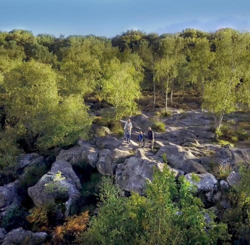 01 Appart cozy à 5min de Fontainebleau