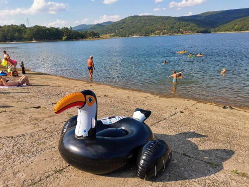 Borsko jezero - image 5
