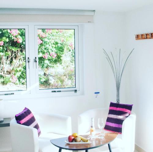 VIP Caribbean Views 300 meters to the Coral Estate beach in Willibrordus