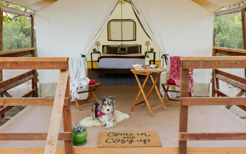 Wildhaven Sonoma Glamping Novato