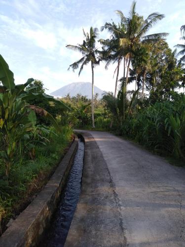 Pondok Alam Bukit Room Type - Deluxe Double or Twin Room