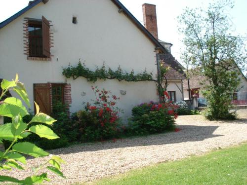 Gîte Cheverny 4 pièces 6 personnes - FR-1-491-226 - image 2