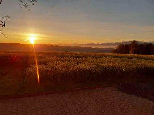 Ferienzimmer auf dem Land