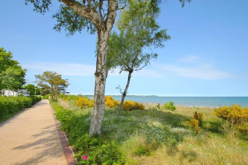 A környék, F-1064 Rhododendronbluete in Lietzow in Lietzow