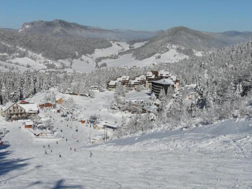 Terrasse plein sud, entre pistes et forets