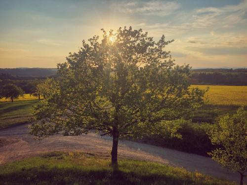 View, Altes Pfarrhaus Gondershausen in Gondershausen