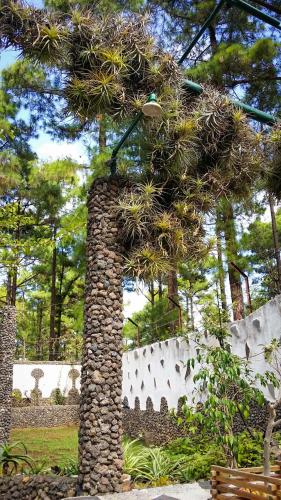 La Casa Encantada del Bosque - Tap to explore photos