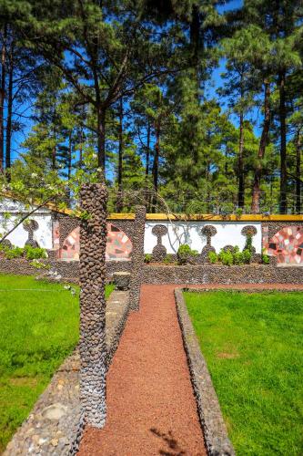 La Casa Encantada del Bosque