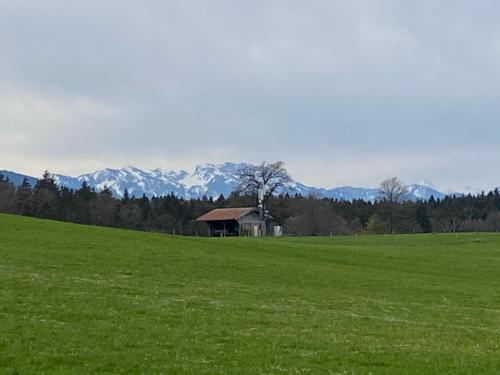 Reithamer Bergfensterl