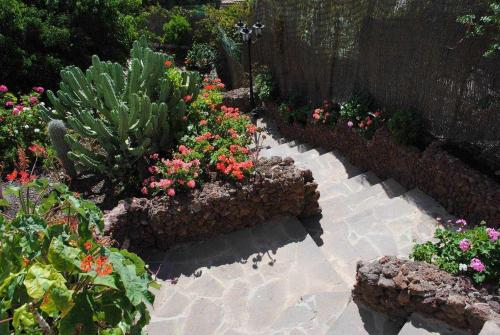 Casa Rural El Olivar - La Almazara