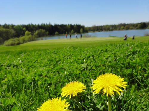 Golf Resort Klöch - image 13