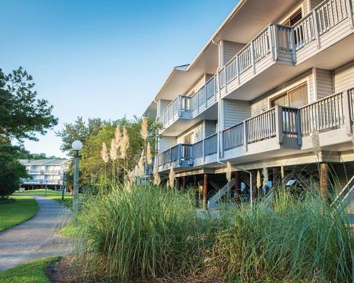 Modern Condo with Great Amenities in Historic New Bern - One Bedroom #1 - image 6