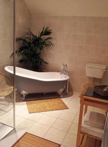 ห้องน้ำ, ทาลี เอย์เออร์ (Tali Ayer) in เนิร์น