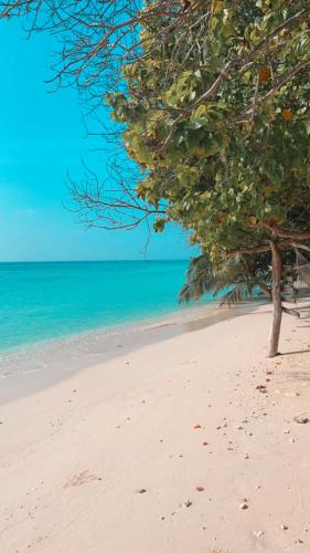 RISING SUN BEACH VIEW RISING SUN BEACH VIEW