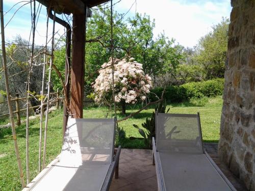 Agriturismo Casa Fibbianello in Семпроньяно
