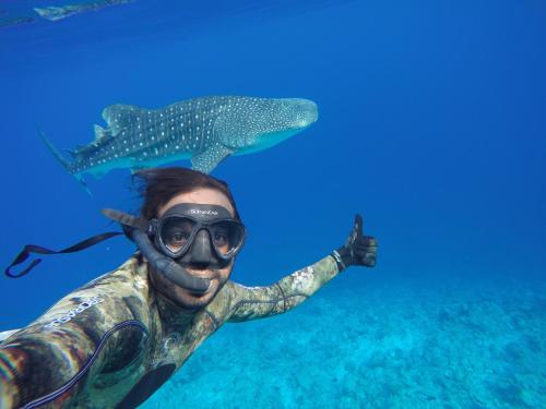 RISING SUN BEACH VIEW RISING SUN BEACH VIEW