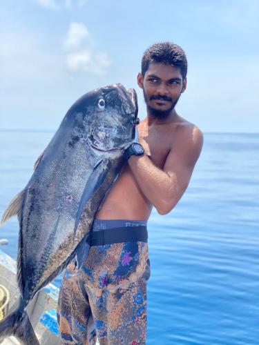 RISING SUN BEACH VIEW RISING SUN BEACH VIEW