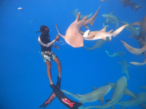 RISING SUN BEACH VIEW RISING SUN BEACH VIEW